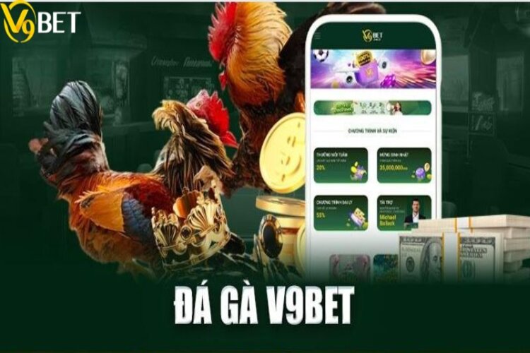 Điểm danh các hình thức chọi gà thịnh hành