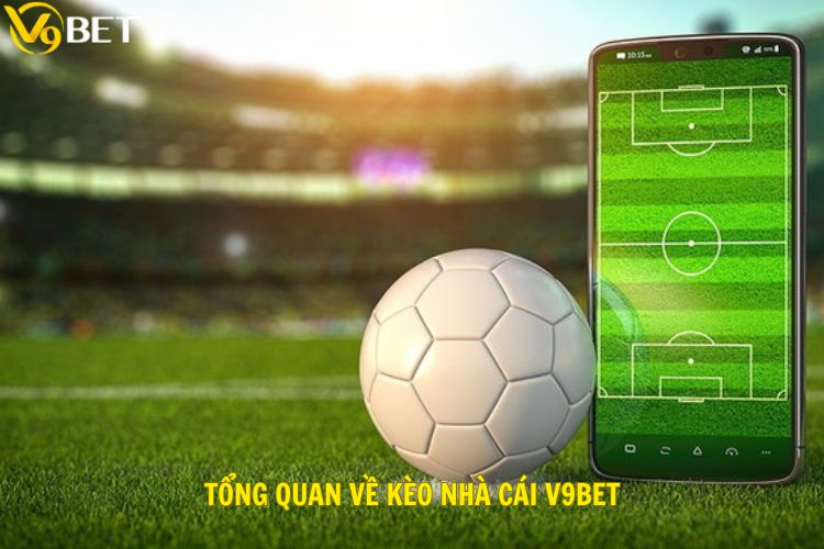 Tổng quan về kèo nhà cái V9bet
