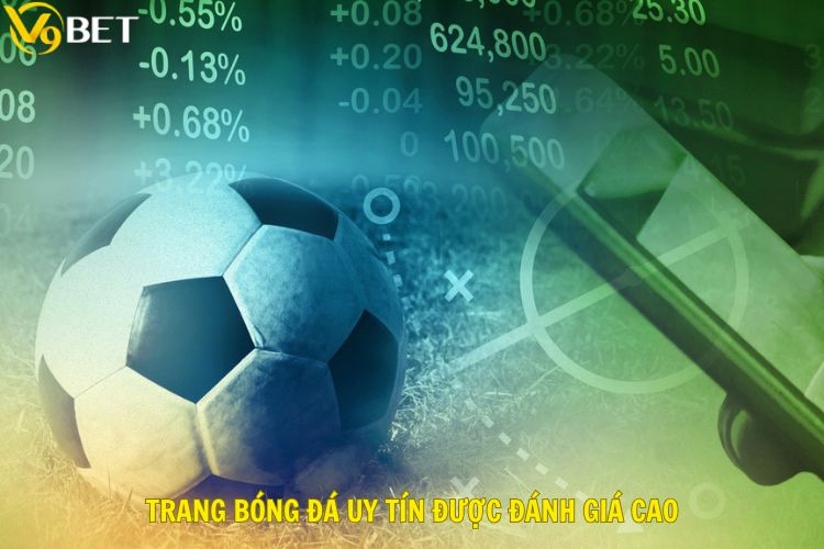 Trang bóng đá uy tín được chuyên gia đánh giá cao